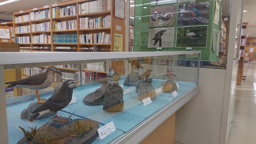 愛しい野鳥たち写真2