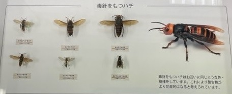 展示風景