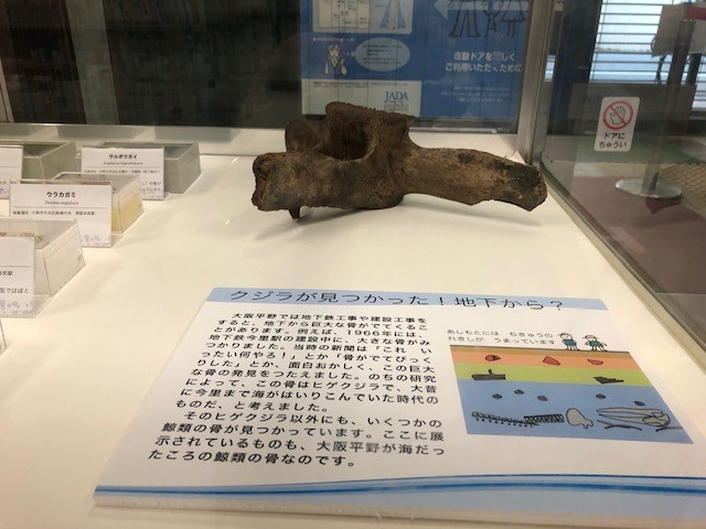 展示風景
