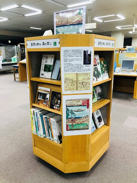 展示写真