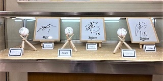 展示ケース横