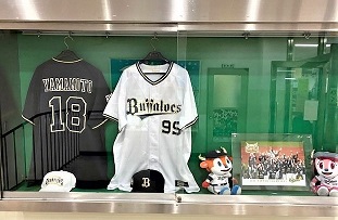 展示ケース縦