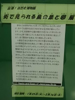 展示・R3自然史博物館_鳥の巣展 (4)