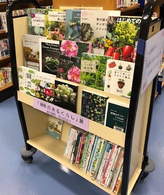 展示風景写真