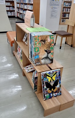 展示風景1