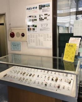 展示風景