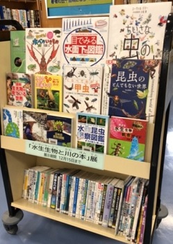 図書展示風景