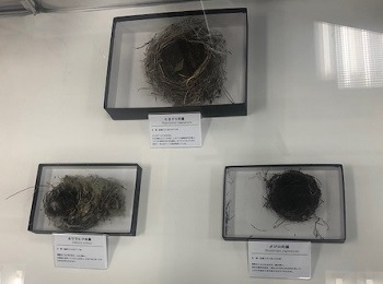 展示風景写真