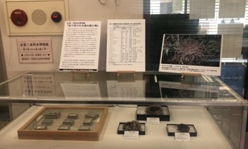 展示風景写真