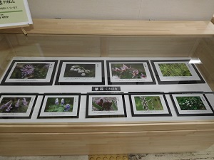 山本ゆたか写真展①