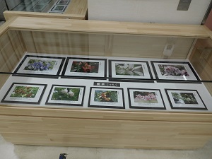 山本ゆたか写真展②