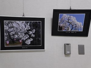山本ゆたか写真展③