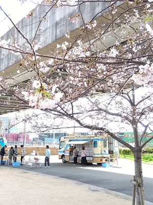 島屋南公園ステーション桜1