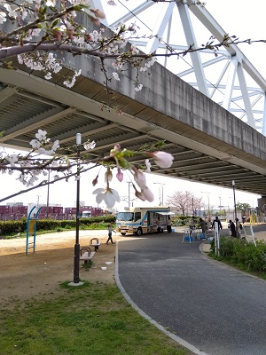 島屋南公園ステーション桜2