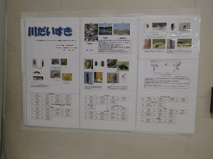 川だいすき②