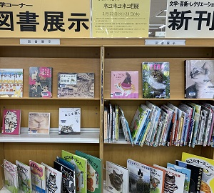 展示書架の写真