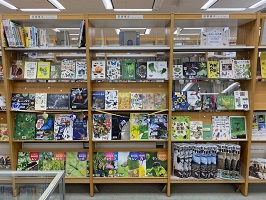 昆虫の世界展展示風景