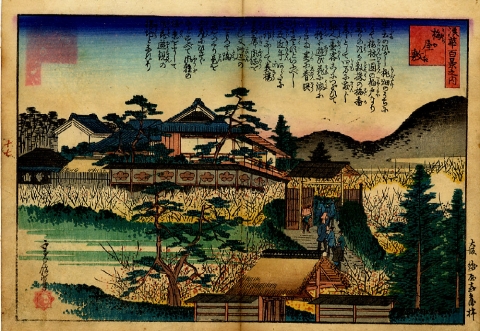 梅屋敷 (写真浪花百景 上編 中編)