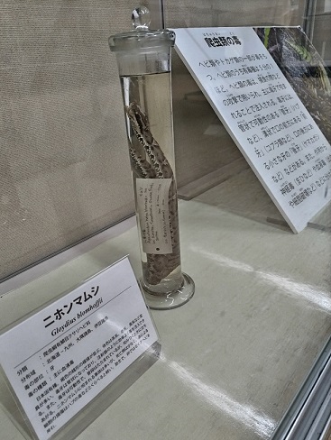 展示の写真