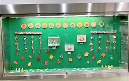 ケース展示写真1