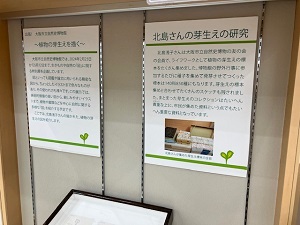 芽生えの研究展示写真1