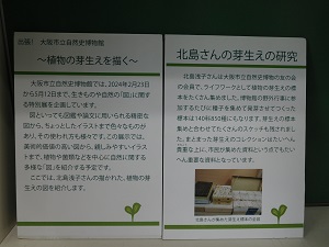 自然史展示1