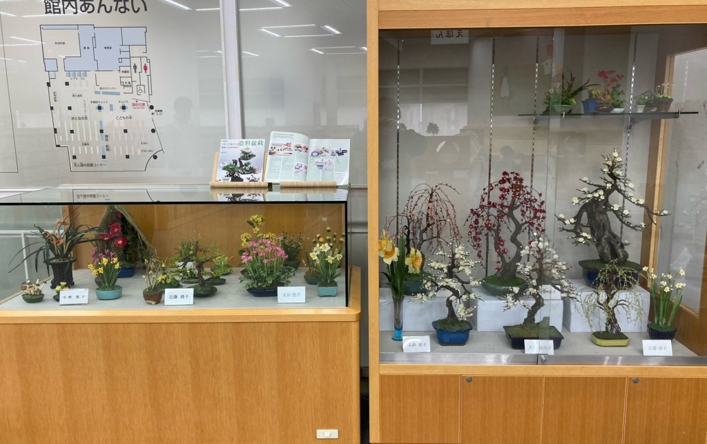 展示の写真1