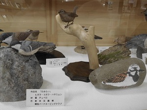 野鳥展示①