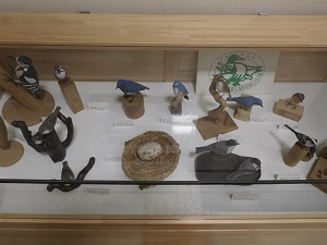 野鳥展示②