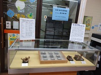 鳥の巣と卵展