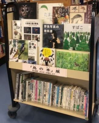 展示風景写真