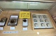 鳥の巣と卵展平台ケース展示