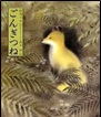 『ごんぎつね』表紙画像